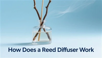 Kif jaħdem id-diffużur tal-qasab? Gwida Sħiħa Għall-Aromaterapija Bla Fjammi